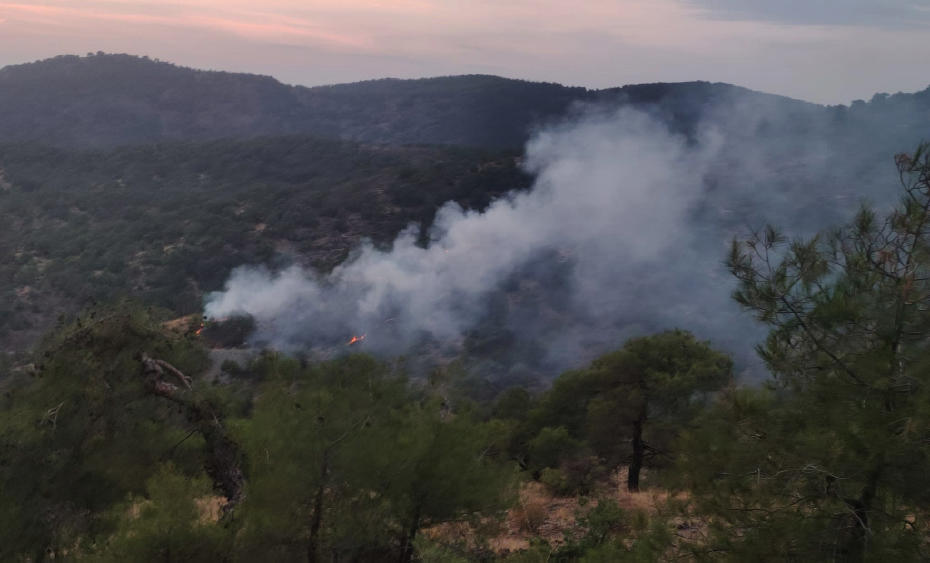 Gaziantep İslahiye'de Orman Yangını Kontrol Altına Alındı ve Alan Zarar Gördü
