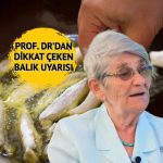 Canan Karatay'dan çarpıcı balık uyarısı: Unlanıp kızartılan balığın yaptığına bakın!  “Karadeniz halkı bana kızmasın”