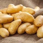 Haşlanmış patatesin besin değeri: Haşlanmış patateste kaç kalori var?