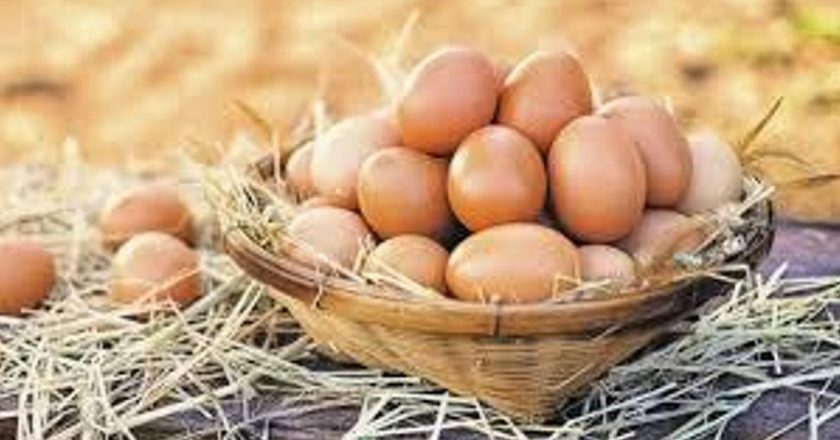 Haşlanmış Yumurtanın Besin Değeri: Haşlanmış Yumurta Kaç Kalori?