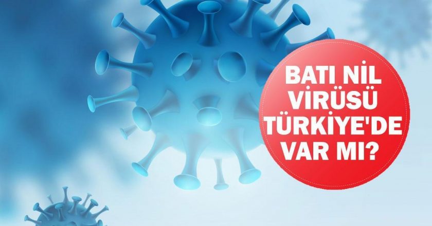 Batı Nil virüsü Türkiye'de var mı? Sağlık Bakanlığı'ndan Batı Nil Virüsü Açıklaması!