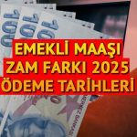 SSI 4A, 4B Emeklilik Farkı Fark Ocak veya Şubat aylarında ne zaman ödenecek? En düşük SSK emekli maaşı, Boğkur resmi gazetede yayınlandı mı?