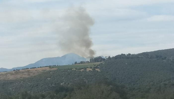 Kahramanmaraş’taki ormanlık bölgede ateş: 1 saat içinde yok olmuş