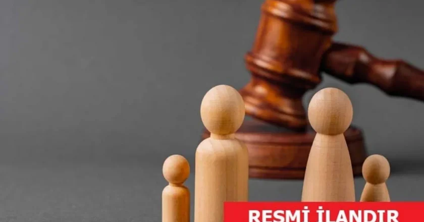 TC Germincik 2. Ceza Mahkemesi İlk Derece