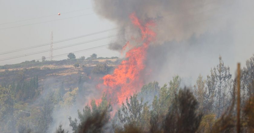 İzmir'de yangına sebebiyet veren kişi gözaltına alındı