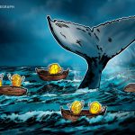 Bitcoin balinaları piyasayı gerçekten yönlendiriyor mu? Detaylı analiz