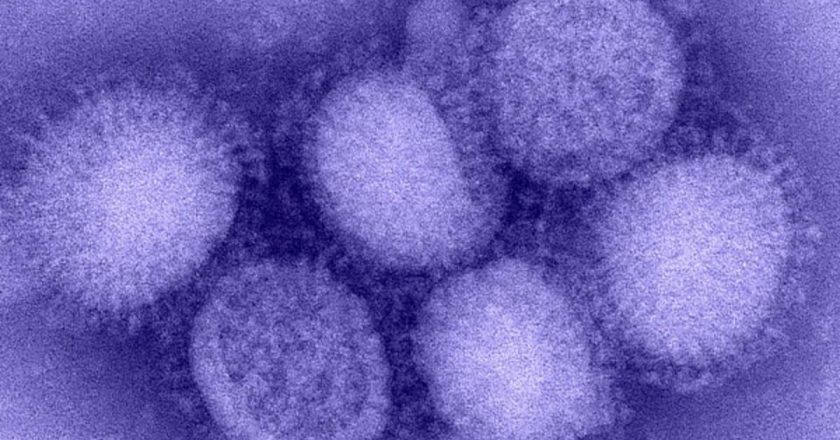 Kuzey Yarımküre’de ‘H3N2’ alarmı! “Benzeri görülmemiş grip vakaları yaşanıyor”